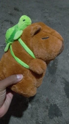 Customer photo review of Capybara Plush With Turtle Backpack
