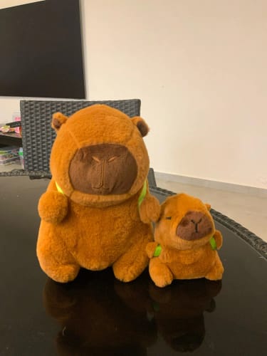 Customer photo review of Capybara Plush With Turtle Backpack