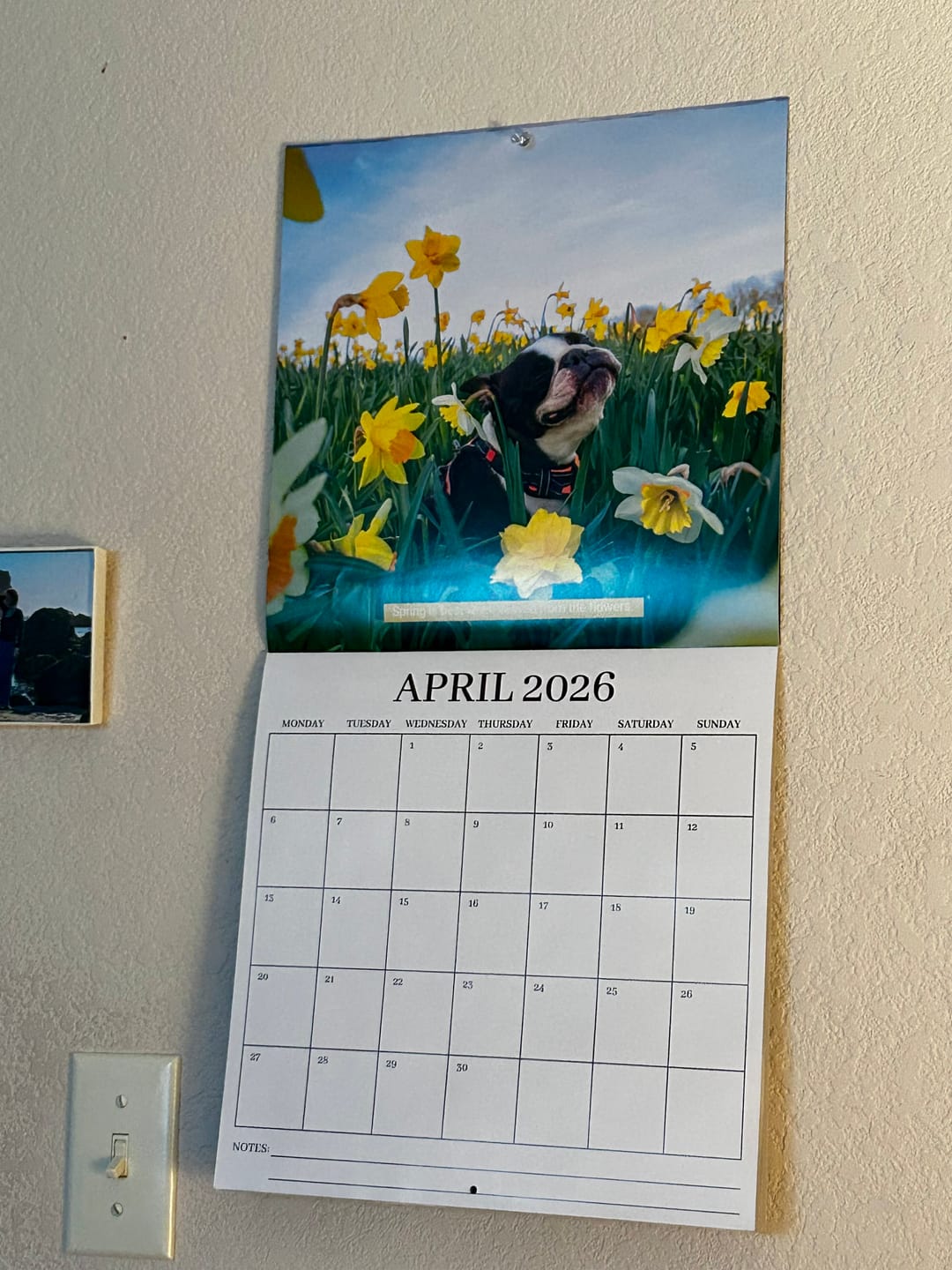 Customer photo review of 2026 Wall Calendar
