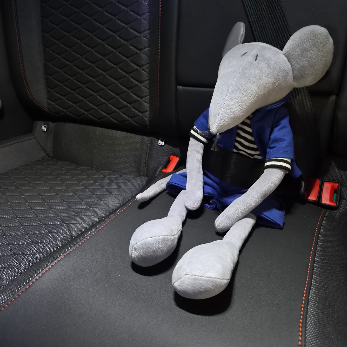 Customer photo review of HECTOR LE RAT - L