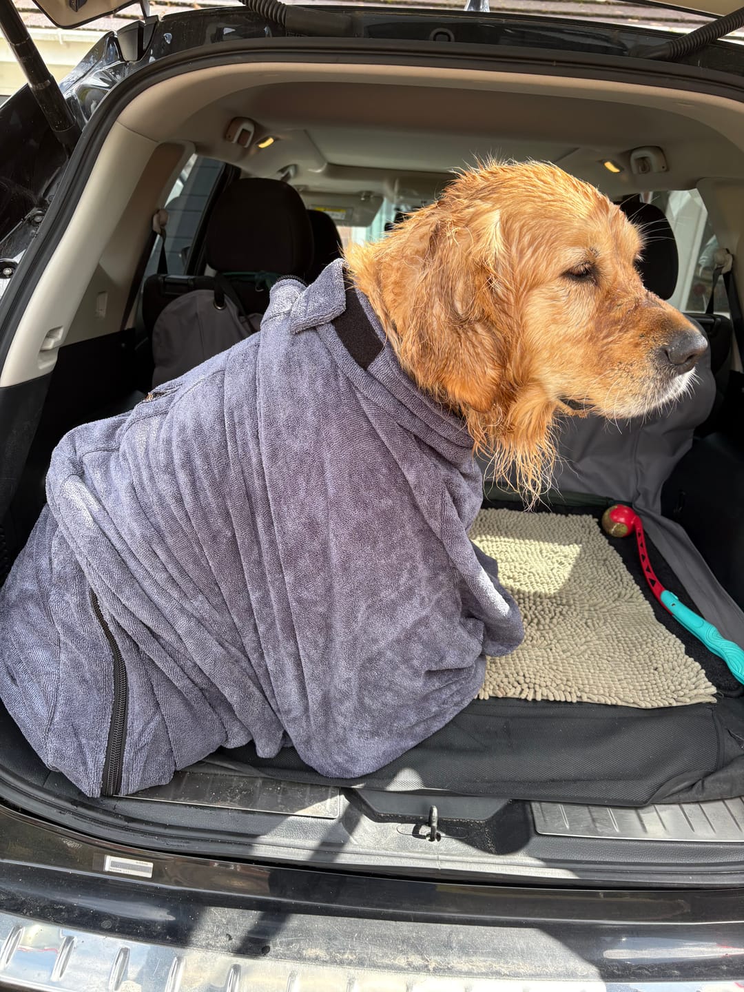 Customer photo review of Luxury Dog Drying Bag