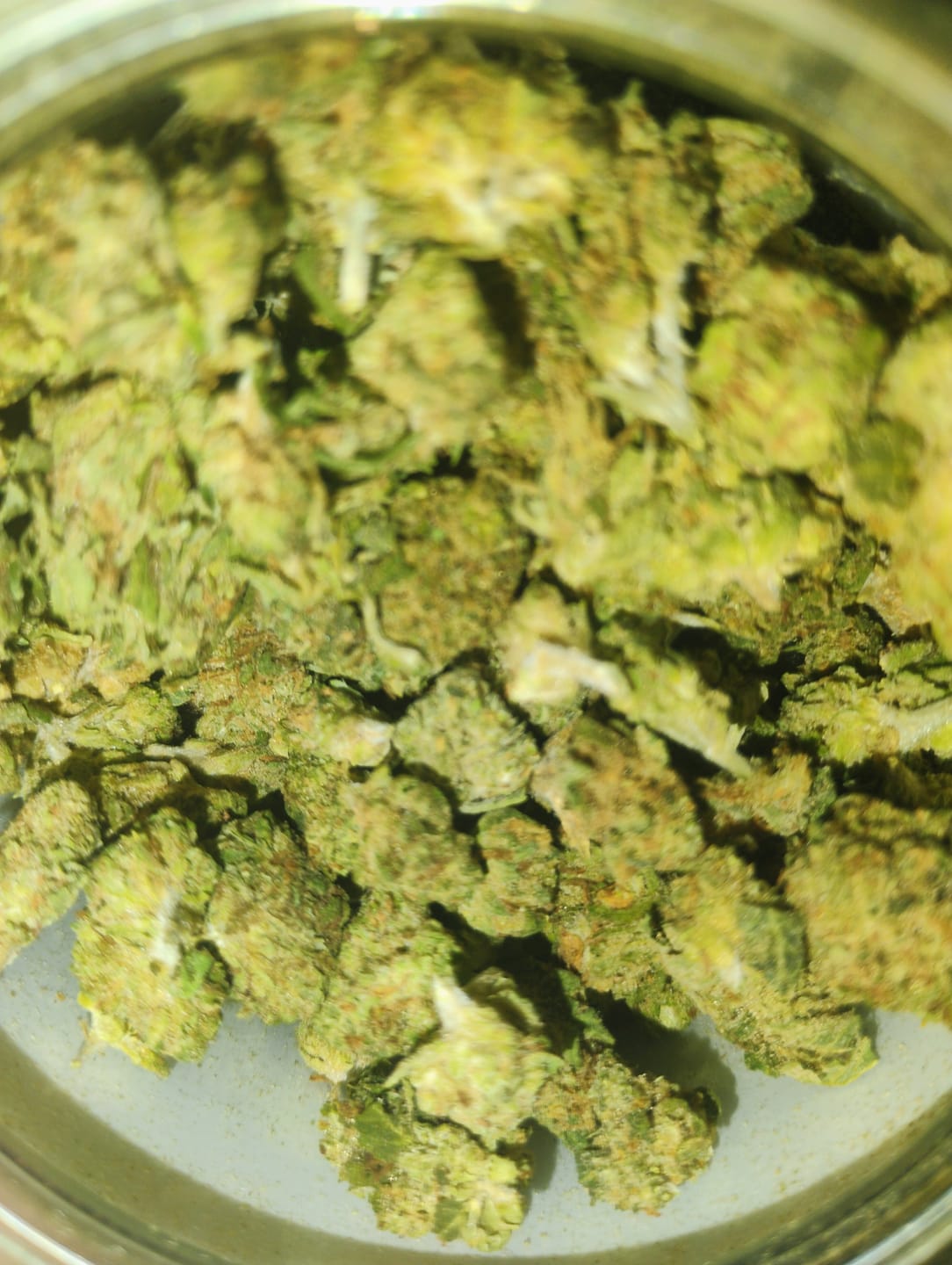 Customer photo review of Purple Kush - Minis - 28 Grams - Indica
