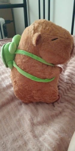 Customer photo review of Capybara Plush With Turtle Backpack