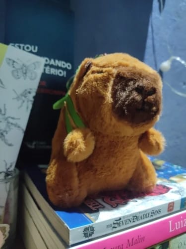Customer photo review of Capybara Plush With Turtle Backpack