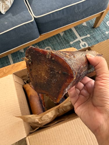 Customer holding up a large, dark Smoked Beef Marrow Bone from a shipping box.