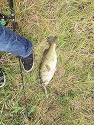 Customer photo review of TRUSCEND Swimmax Fishing Lure with BKK Hook， Easy Catch: Wiggling, Vibrating, Rattling with Noise, Heavy-Duty Dyneema Fiber Jointed Swimbait for Bass, Trout, Crappie，Ideal for Family Fishing [WM]