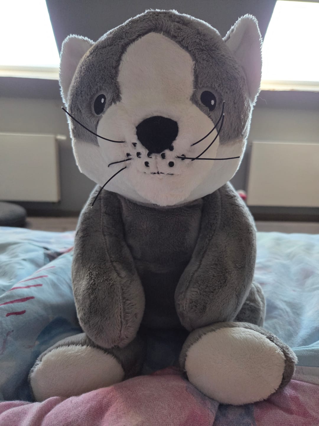 Customer photo review of Lotgenootje Kat 2kg