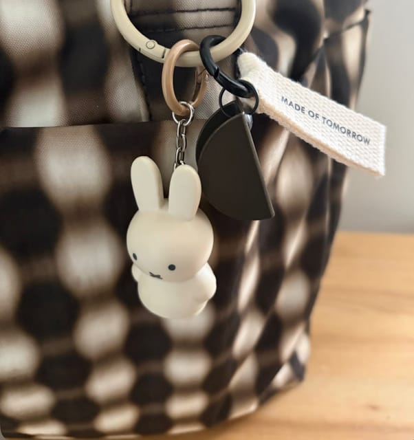 Customer photo review of Keychain – 10 Year Edition
