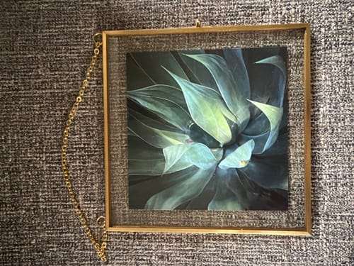 Customer photo review of 5x5 Clear Bagged Prints