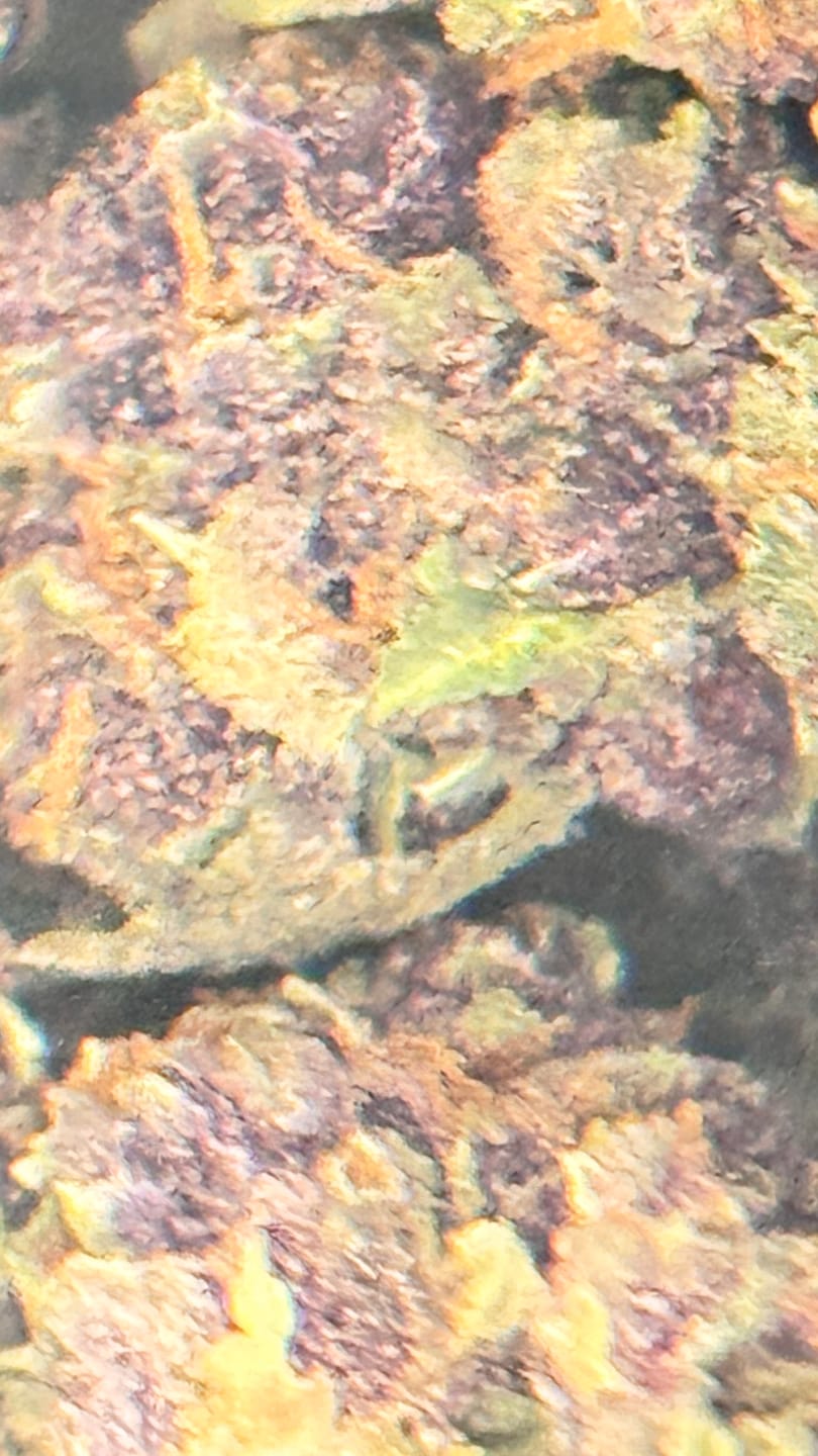 Customer photo review of Granddaddy Purple - 14 Grams - Indica