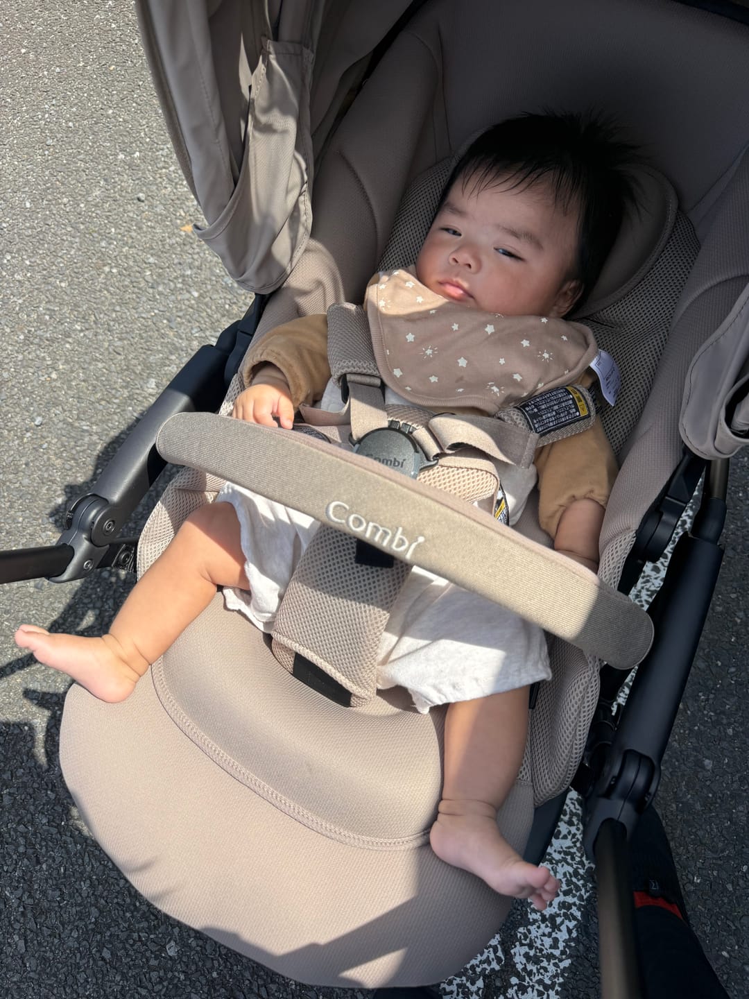 Customer photo review of ターコイズ風ボタン付き ピーチスキンシャツ　新色追加！