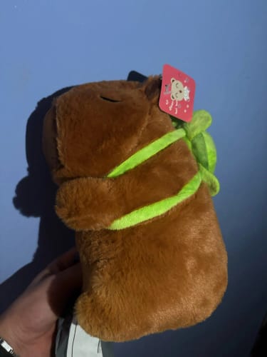 Customer photo review of Capybara Plush With Turtle Backpack