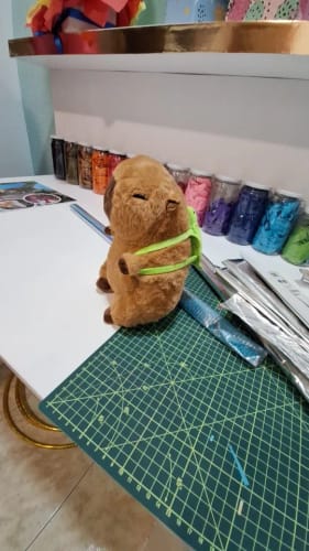 Customer photo review of Capybara Plush With Turtle Backpack