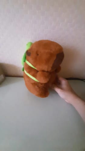 Customer photo review of Capybara Plush With Turtle Backpack
