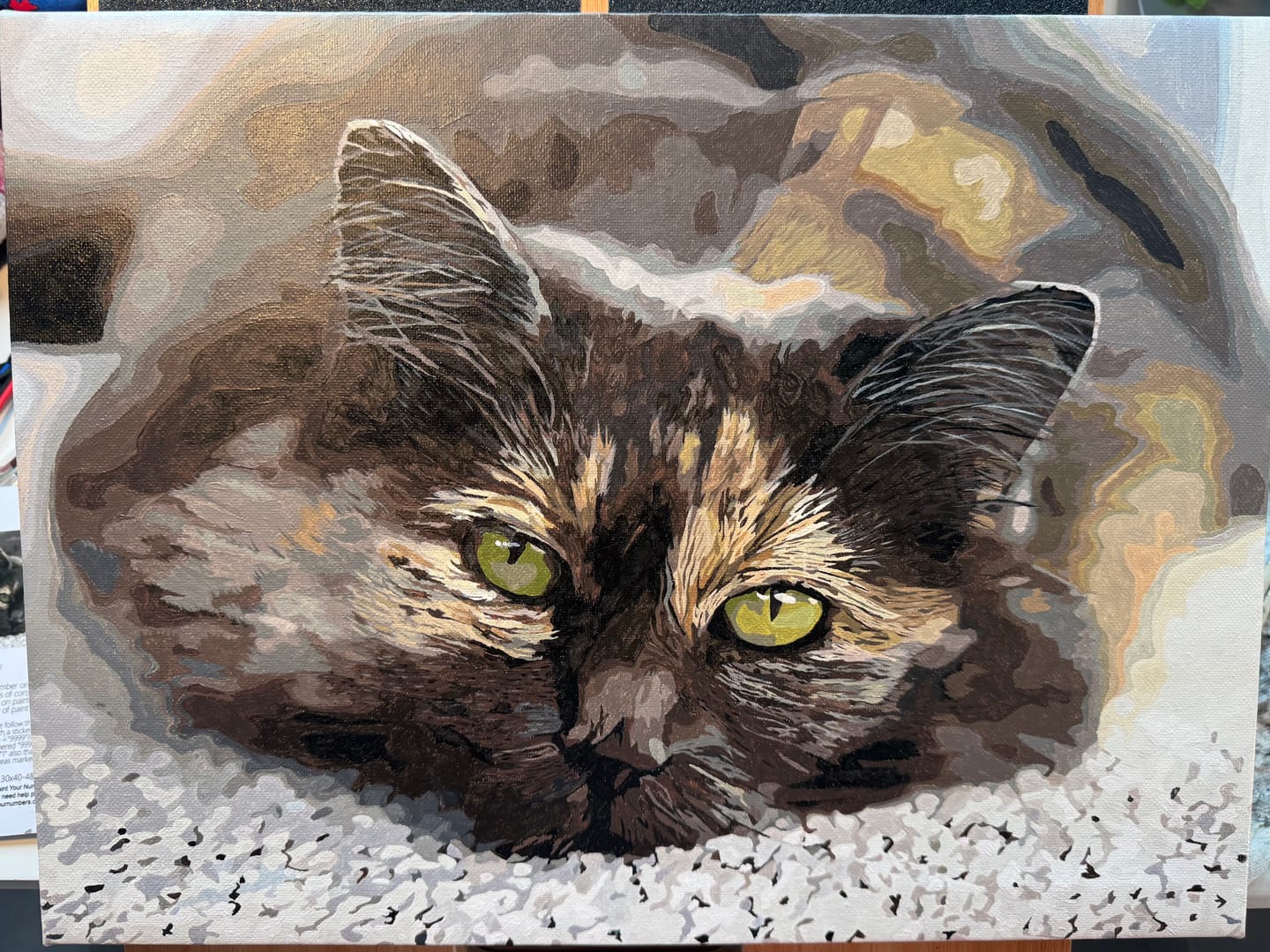 Customer photo review of Custom Paint By Numbers Kit