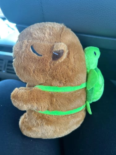 Customer photo review of Capybara Plush With Turtle Backpack