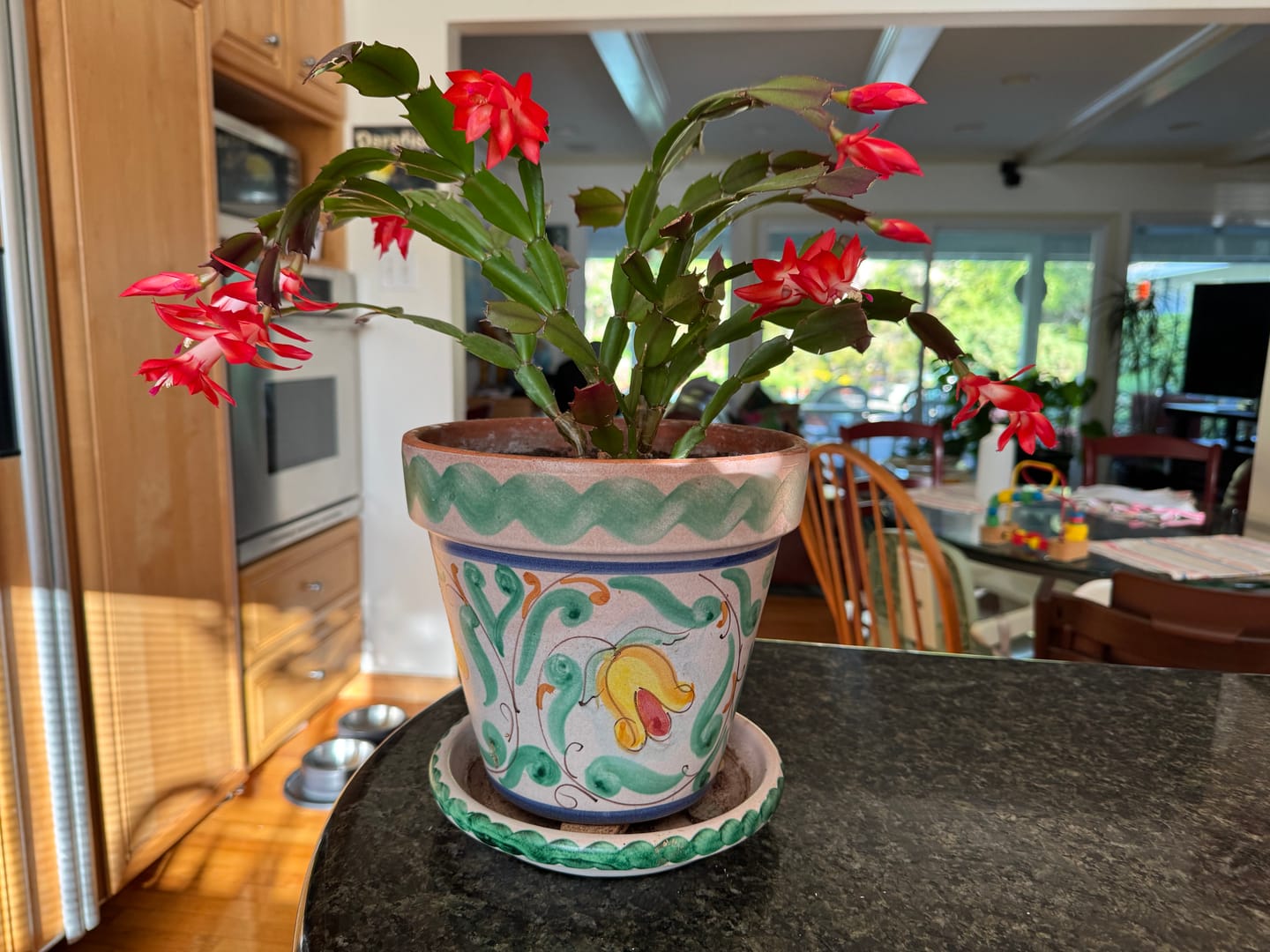 Customer photo review of Soil Refresh