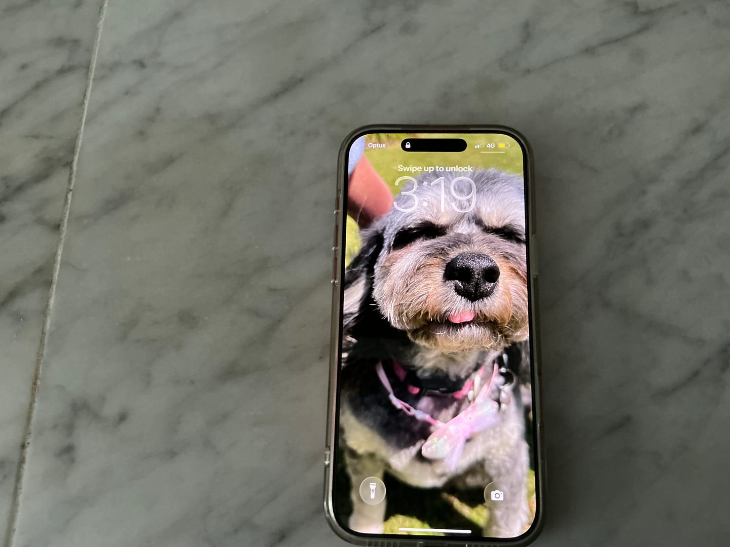 Customer photo review of Master Series Premium Tempered Glass iPhone Screen Protector