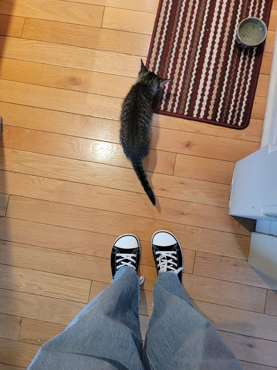Customer photo review of Roam I  - Barefoot Shoes