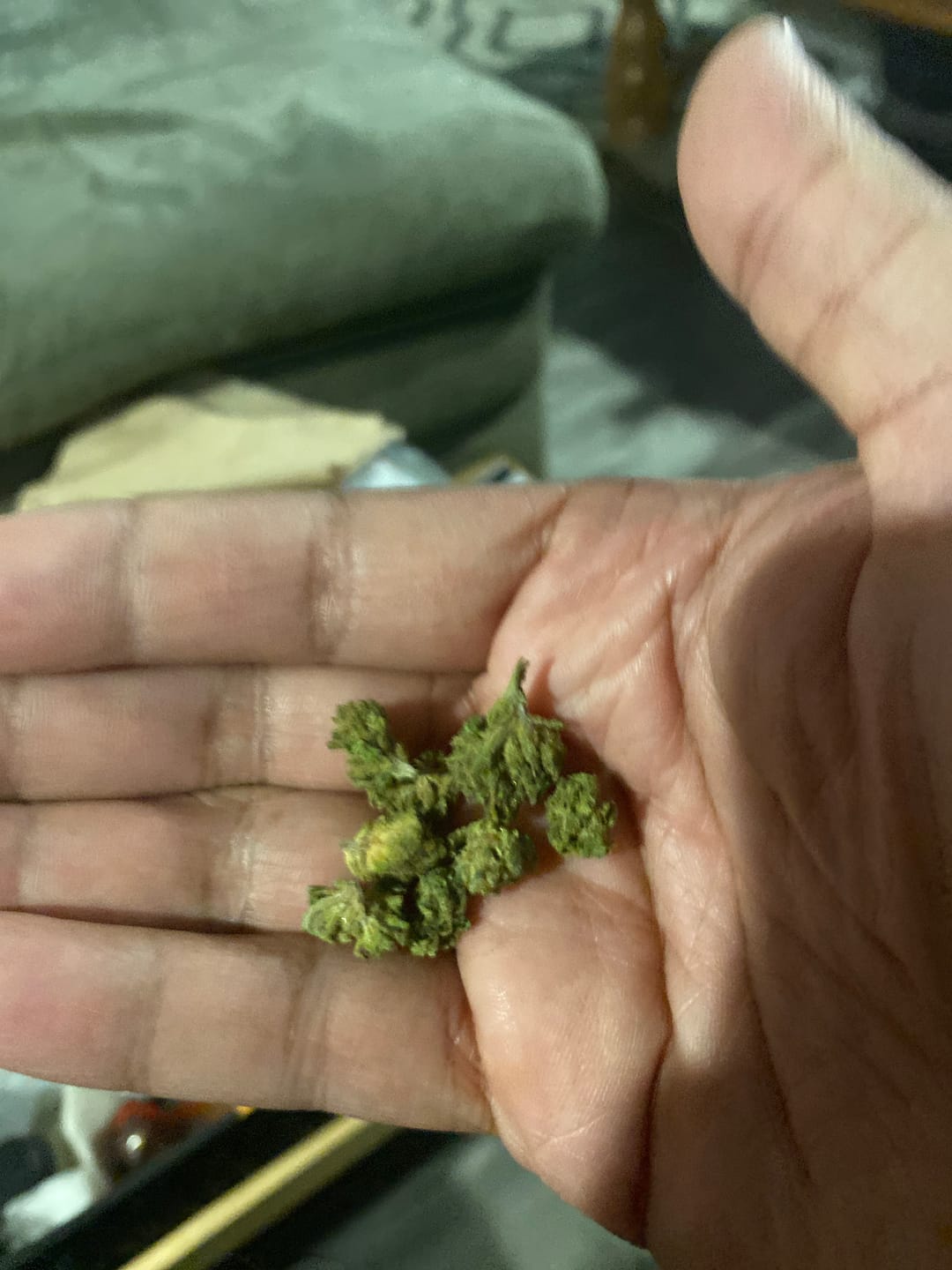 Customer photo review of Blue Dream - Minis - 28 Grams - Sativa