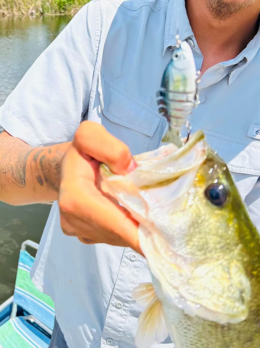 Customer photo review of TRUSCEND Fishing Lures for Bass Swimbaits for Bass Fishing Segmented Multi Jointed Swim Baits Slow Sinking Swimming Lures for Freshwater Saltwater Fishing Gear Lure Kit Fishing Gifts Plugs 3in/0.4oz [WM]