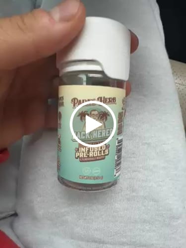 Customer video review of INFUSED 5 PACK JACK HERER SATIVA