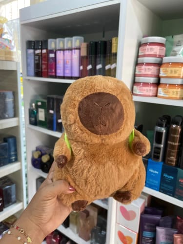 Customer photo review of Capybara Plush With Turtle Backpack