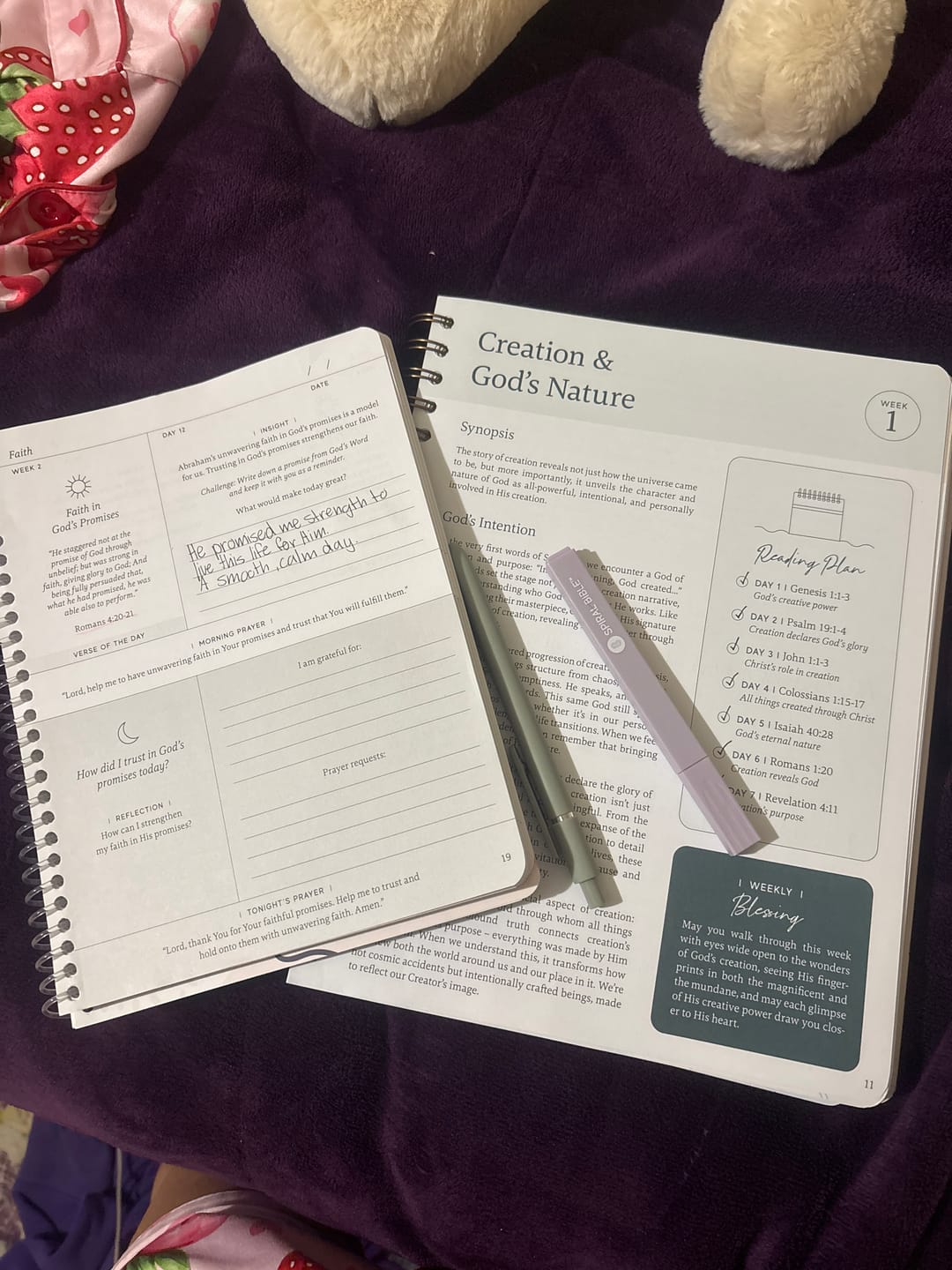 Customer photo review of Spiral Bible™ Transparent Sticky Notes