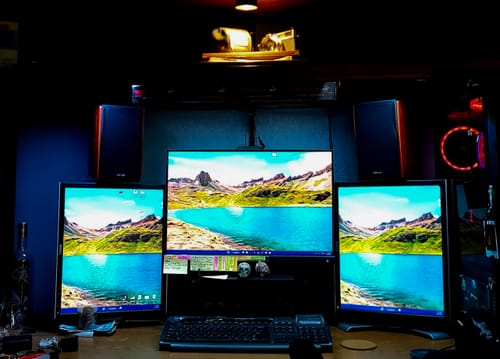 Customer photo review of P17 Passive Bookshelf Speakers