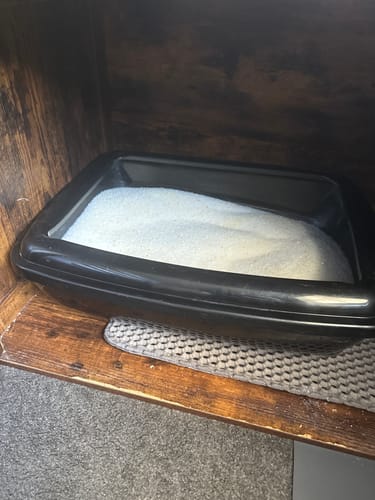 Customer photo review of 1 Month Supply – 1 Cat