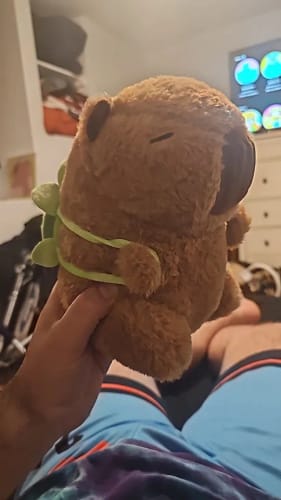 Customer photo review of Capybara Plush With Turtle Backpack