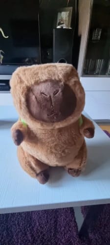 Customer photo review of Capybara Plush With Turtle Backpack
