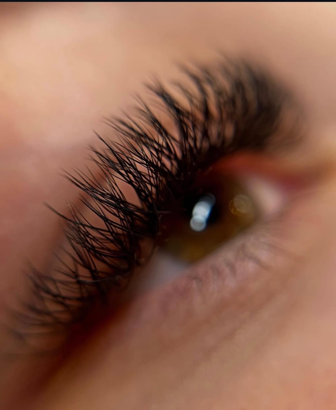 Customer photo review of YY Lashes Fertig Fächer XL Box