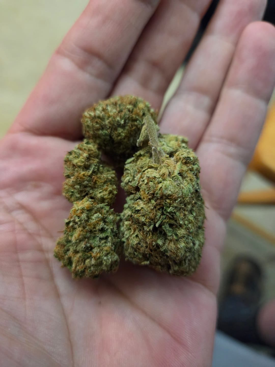 Customer photo review of Raspberry Kush - Bulk- Indica
