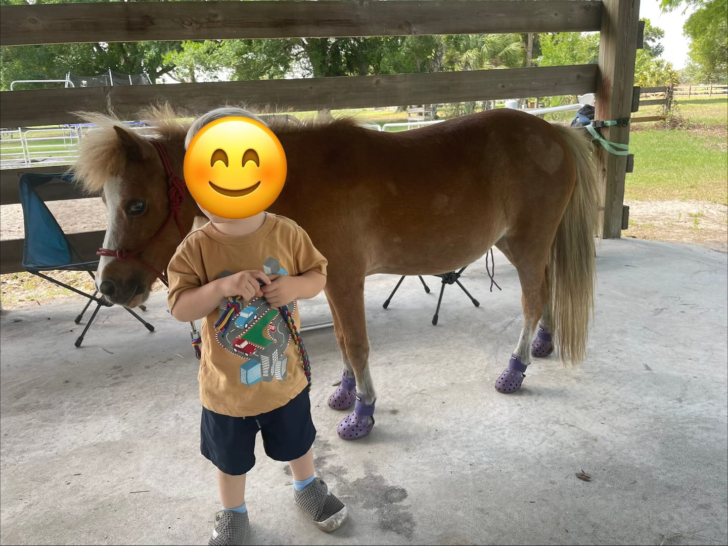 Customer photo review of WagWellie® Mojave Single