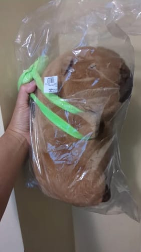 Customer photo review of Capybara Plush With Turtle Backpack