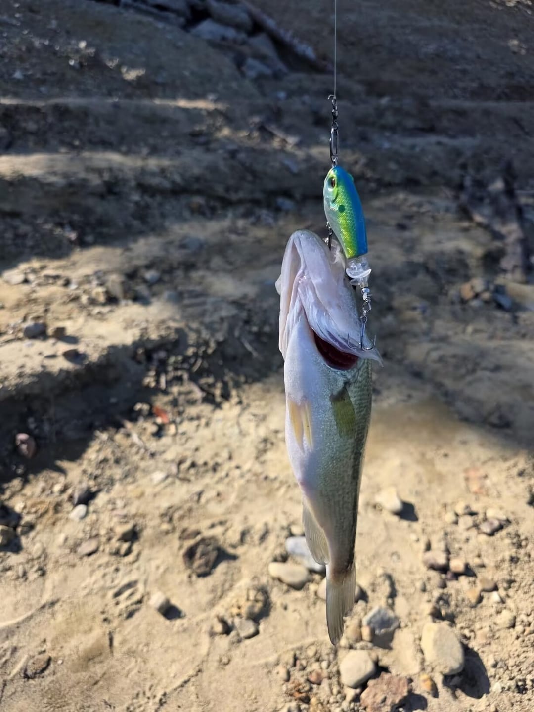 Customer photo review of TRUSCEND PoPobait with BKK Hooks, Top Water Whopper Plopper Fishing Lures for Bass Walleye Pike Catfish, Floating Lure for Freshwater or Saltwater Amazing Lures Fishing Gifts for Family Fishing [WM]