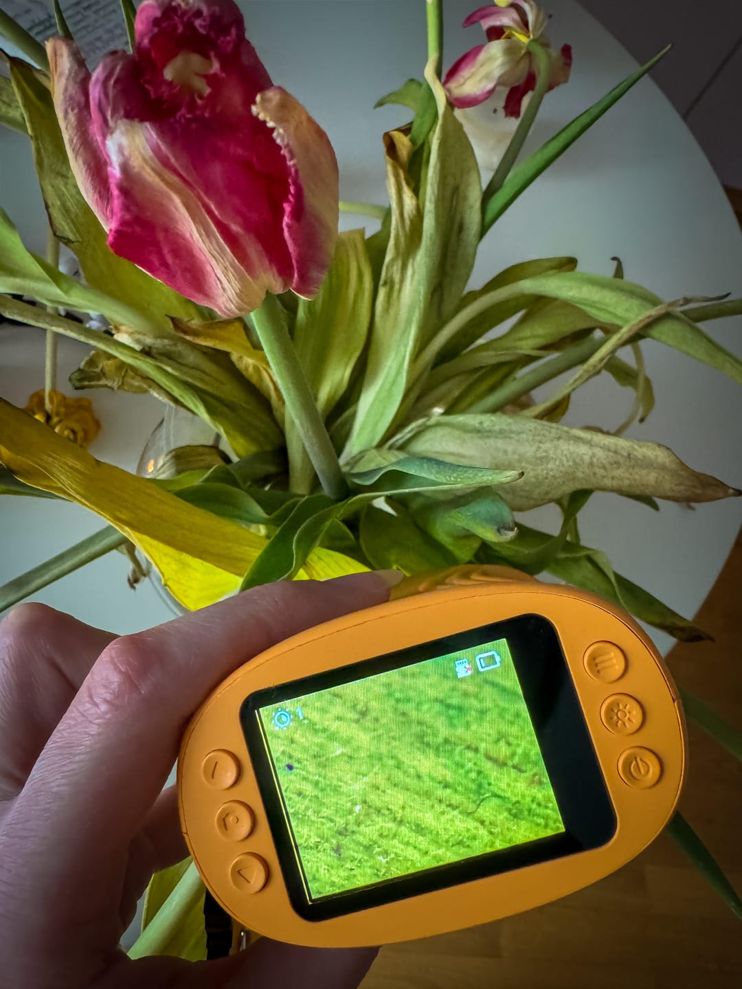 Customer photo review of Edubini Abenteuer-Mikroskop für Kinder
