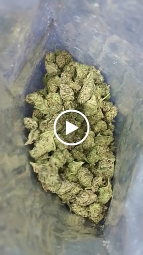 Customer video review of Cali Kush Smalls (Buy 1 Get 1)