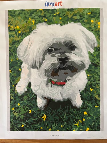 Customer photo review of Paint Your Photo