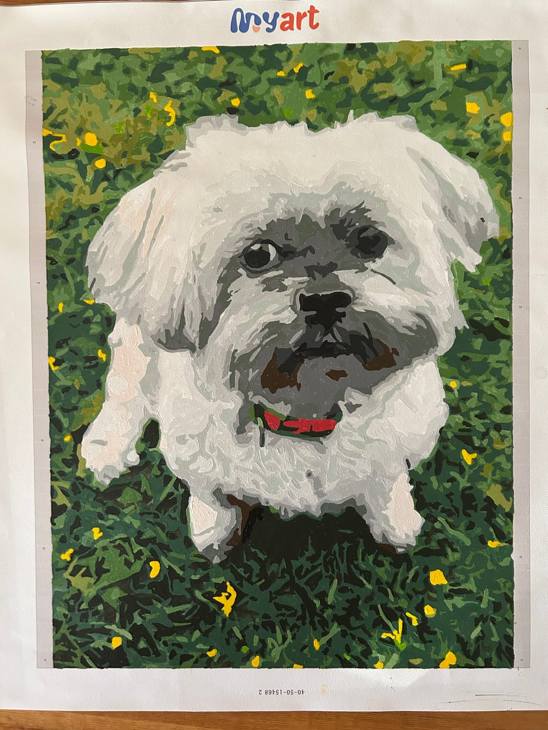 Customer photo review of Paint Your Photo