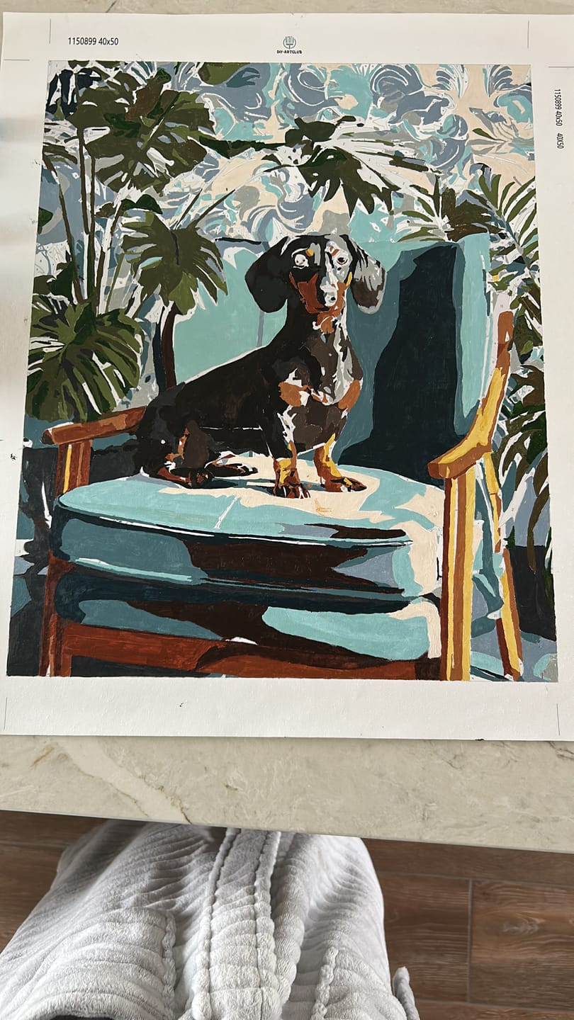 Customer photo review of A posing Dachshund | Paint by Number