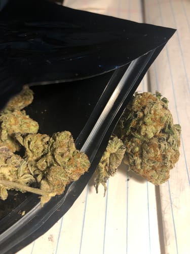 Customer photo review of Blue Widow