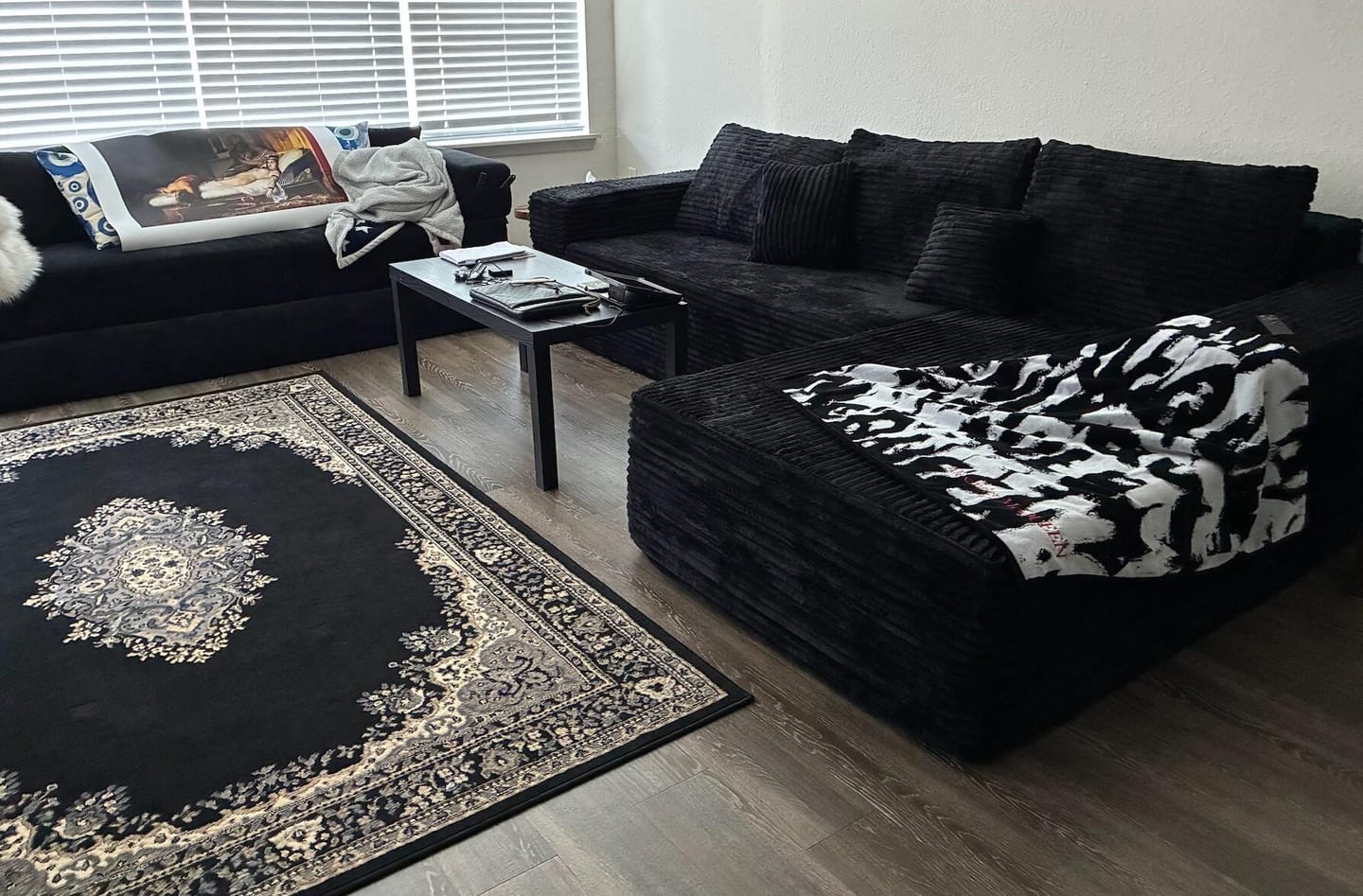 Customer photo review of Astra Sleeper Sectional Sofa