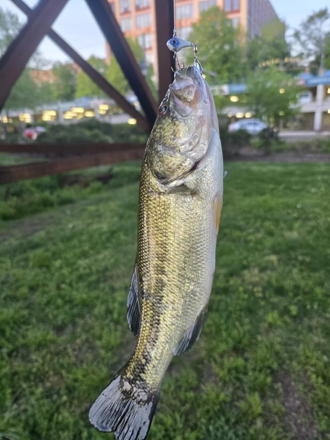 Customer photo review of TRUSCEND Wide Search Cover VIBE Tail Spinner, Easy Catch Fishing Lures with Vibrating BKK Super Slide Sharp Hook, Accurate Long Cast Fishing Spinner for Bass, Trout, Crappie [WM]