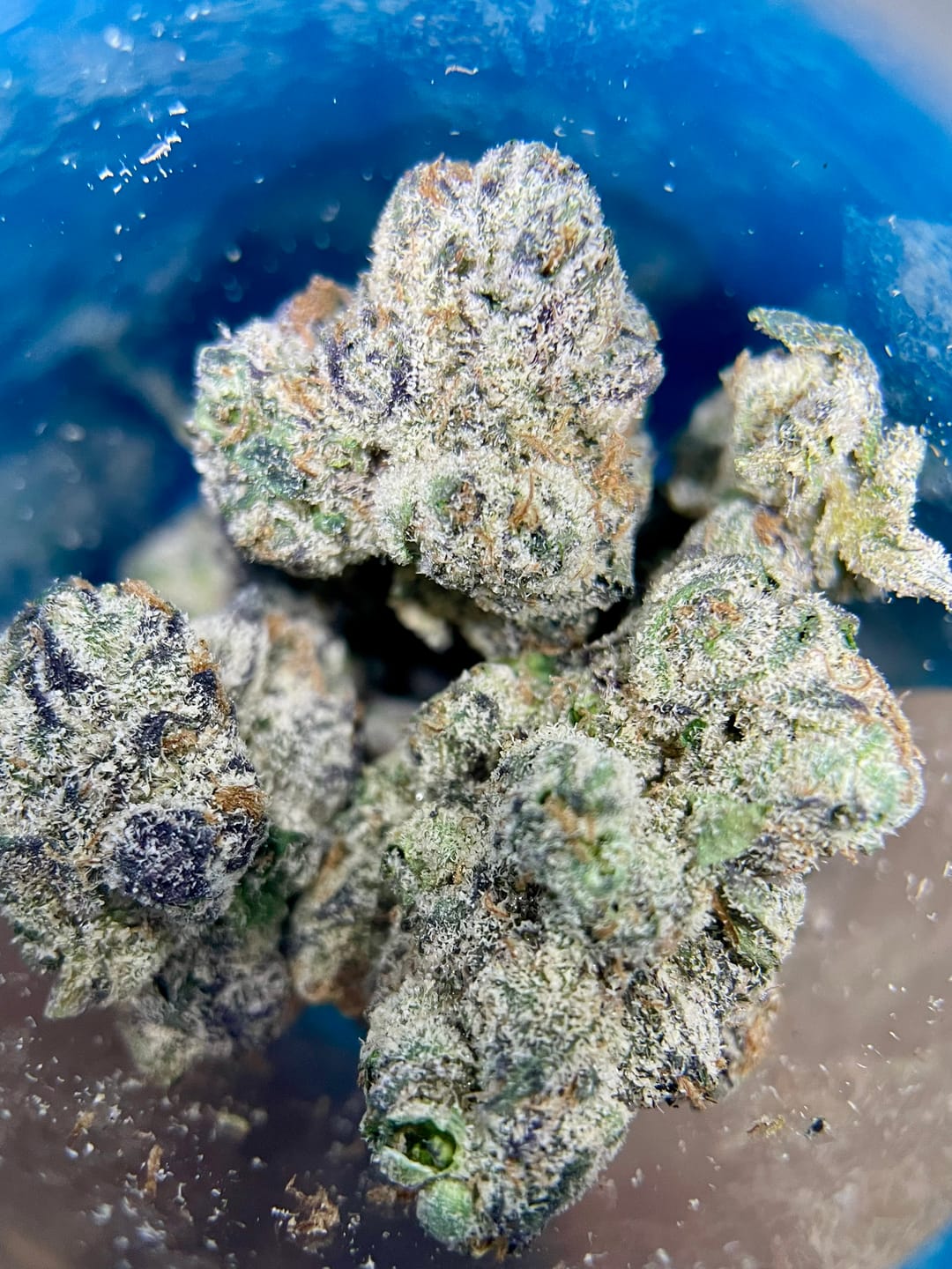 Customer photo review of Elite Boutique Exotics - Purple Zkittles - 14 Grams - Hybrid