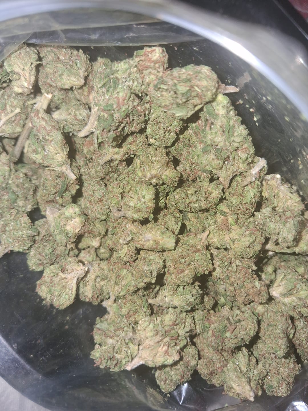 Customer photo review of Chem Dawg Minis - Bulk Minis - Hybrid