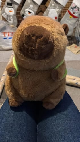 Customer photo review of Capybara Plush With Turtle Backpack