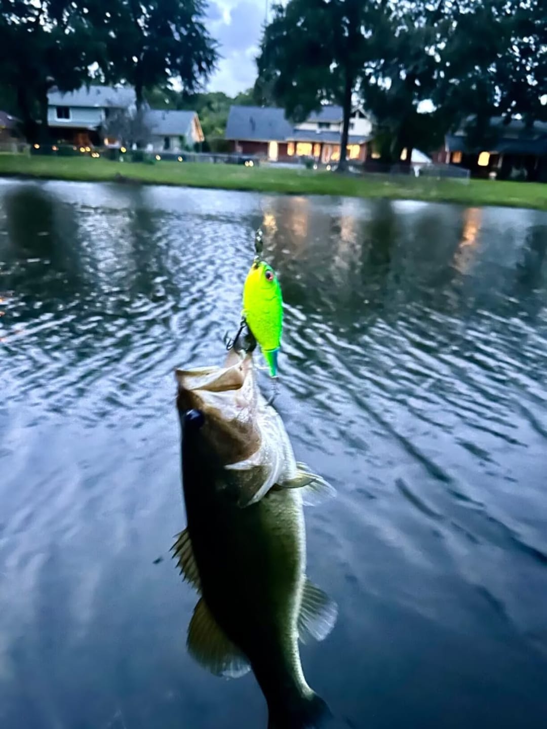 Customer photo review of TRUSCEND PoPobait with BKK Hooks, Top Water Whopper Plopper Fishing Lures for Bass Walleye Pike Catfish, Floating Lure for Freshwater or Saltwater Amazing Lures Fishing Gifts for Family Fishing [WM]