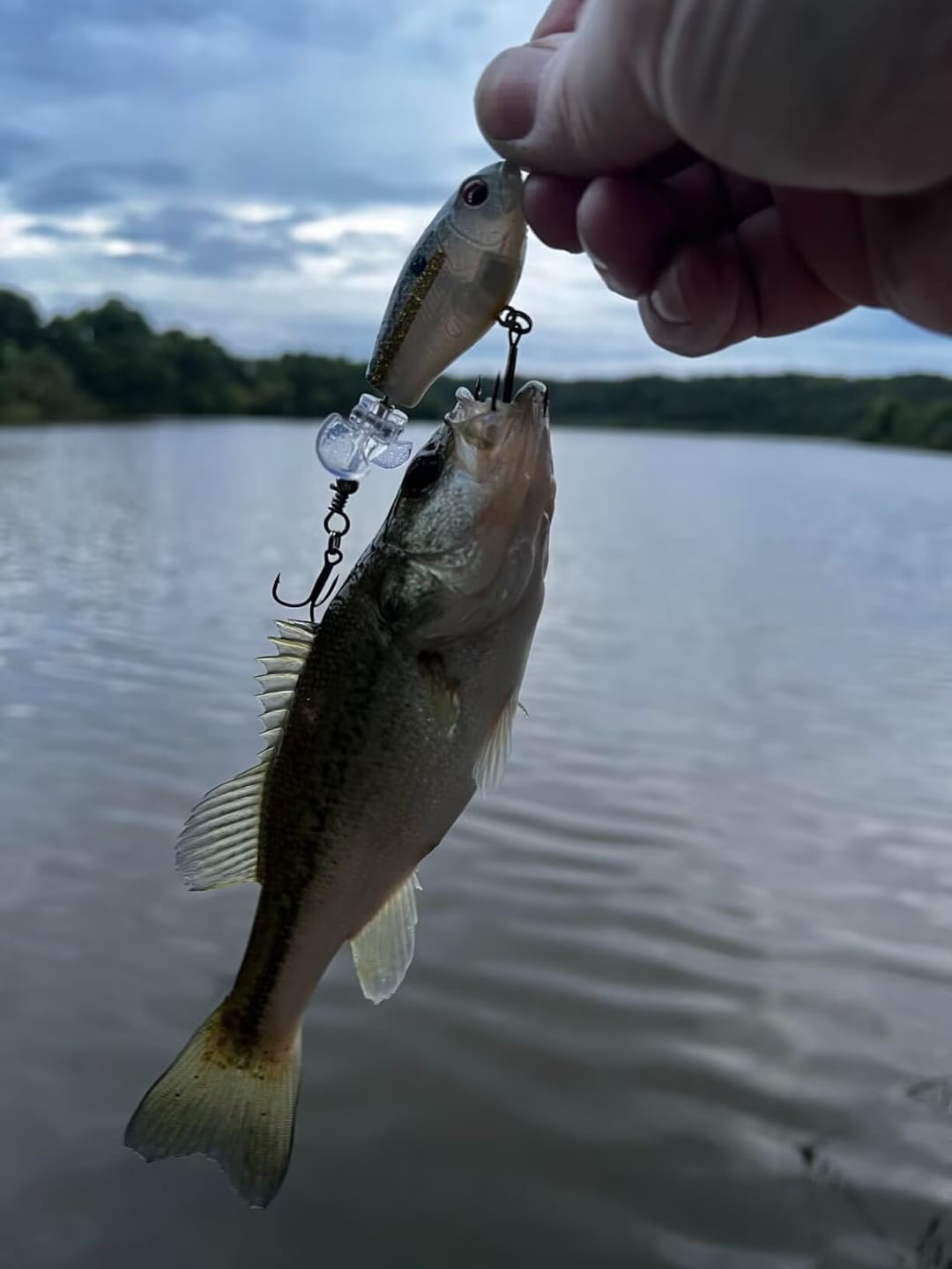 Customer photo review of TRUSCEND PoPobait with BKK Hooks, Top Water Whopper Plopper Fishing Lures for Bass Walleye Pike Catfish, Floating Lure for Freshwater or Saltwater Amazing Lures Fishing Gifts for Family Fishing [WM]